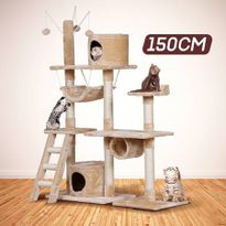 Cat Scratching Post and Tree Gym House for Large Cats