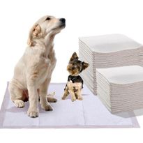 PaWz 400 Pcs 60x60 cm Pet Puppy Dog Toilet Training Pads Absorbent Meadow Scent