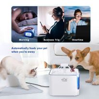 automatic cat feeder big w