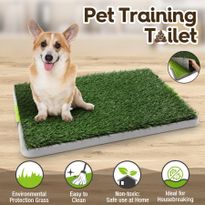Dog Grass Toilet Pet Loo Pet Potty Training  Tray Pee Pad  Indoor  2 Mats