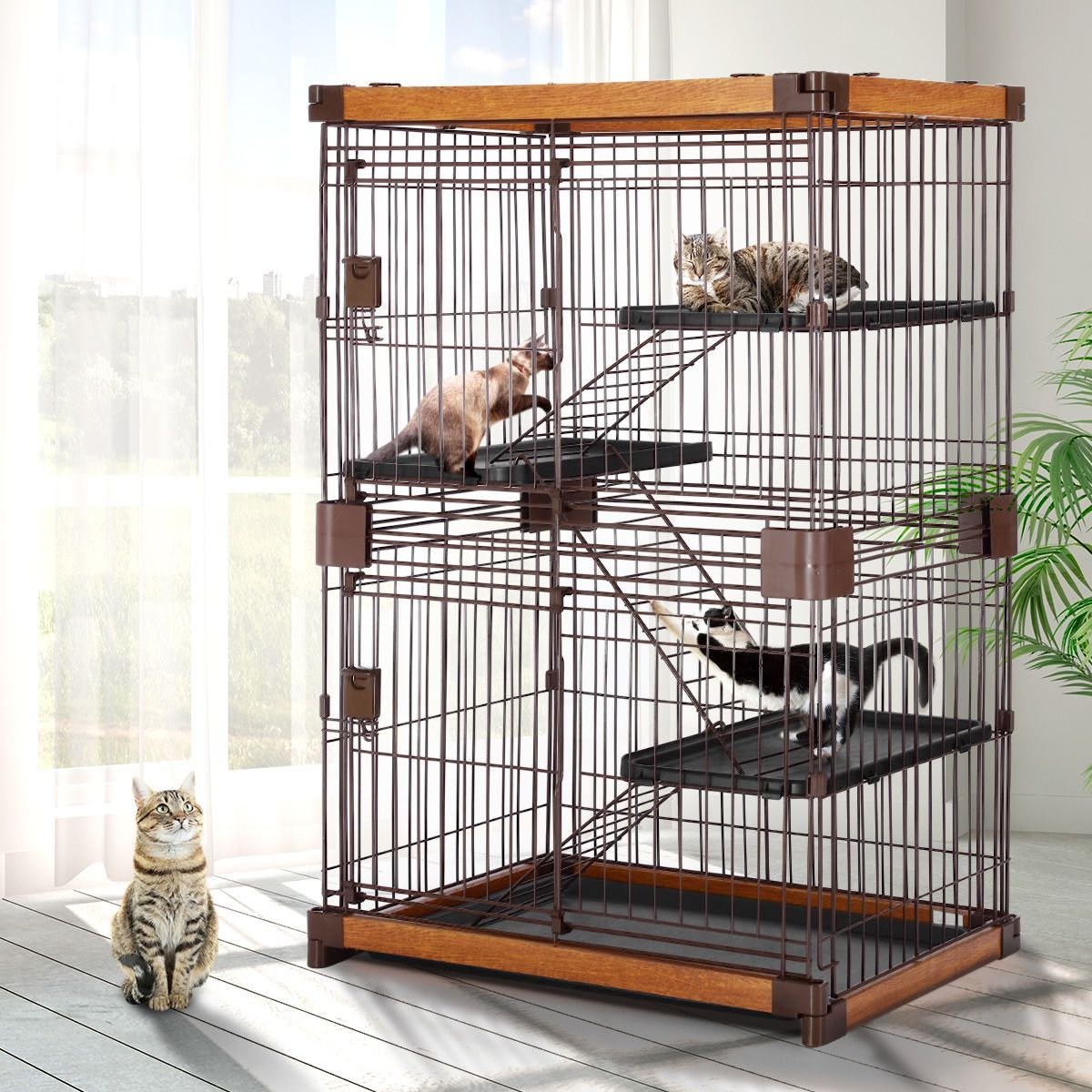 https://img.crazysales.com.au/products_pictures/2069/206913_2041503_F.jpg