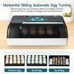 12 Egg Incubator Auto Egg Turning Digital Chicken Goose Duck Quail Eggs Hatcher LED Lighting Machine