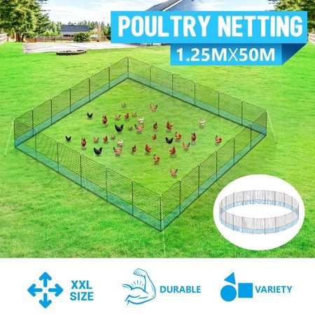 Chicken Fence Ducks Netting Poultry Net Geese Mesh Hens Fencing Coop 25 Posts 50m x 1.25M