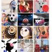 Paint by Numbers, Canvas Oil Painting Kit 40 x 50cm without Framed