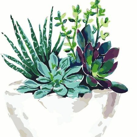 https://img.crazysales.com.au/products_pictures/207/207701_1594575_F.jpg
