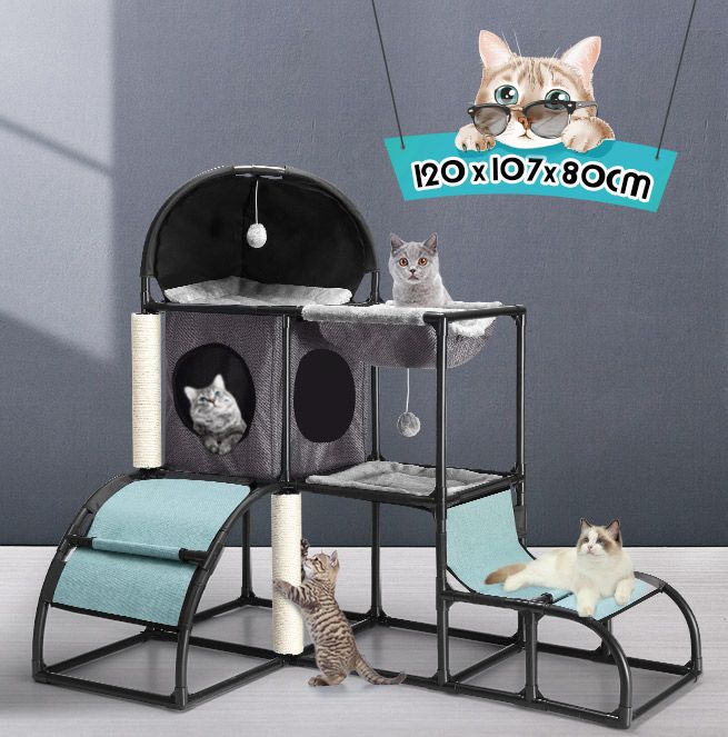 pet scene cat tree