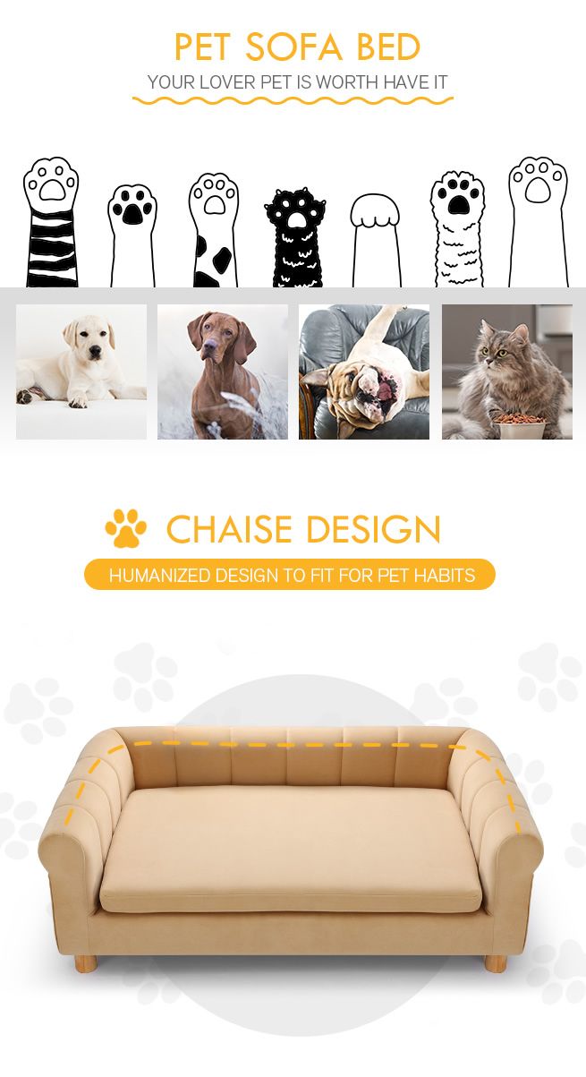 Petscene XL Size Pet Sofa Bed Couch Cushioned Soft Dog Bed for Dogs