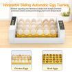 24 Egg Incubator Automatic Digital Hatching Chicken Pigeon Quail Eggs Hatcher Machine with LED Candling Lamps