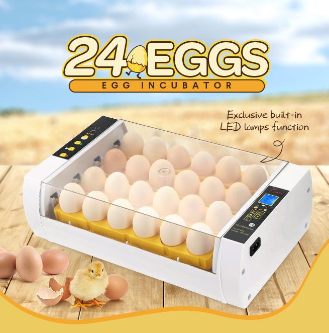Automatic 24 Egg Incubator Digital Hatching Chicken Duck ...