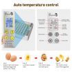 Digital Fully Automatic Egg Incubator 36-120 Eggs Poultry Hatcher Chicken Duck Bird Auto Turning