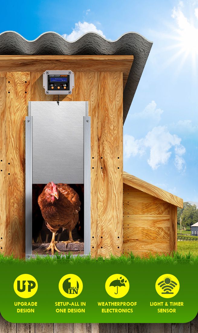 best automatic chicken door opener