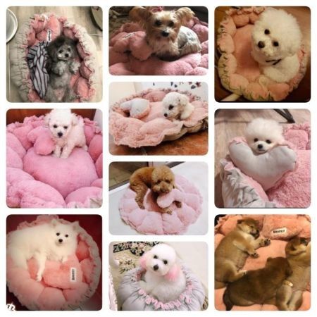 https://img.crazysales.com.au/products_pictures/208/208781_1604299_F.jpg