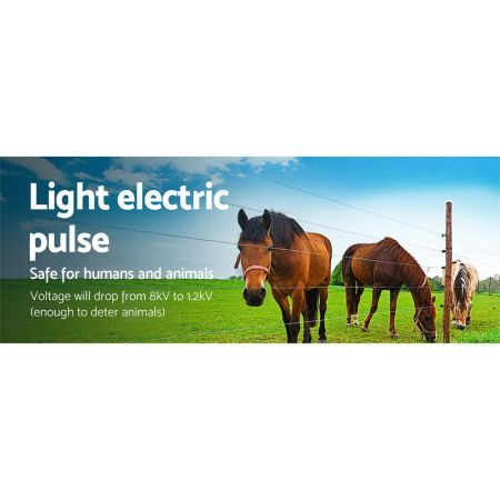 https://img.crazysales.com.au/products_pictures/2080/208081_1597933_F.jpg