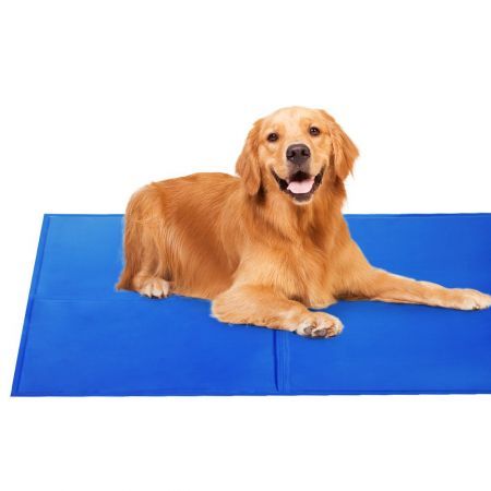 dog cooling mat petbarn
