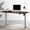 Artiss Standing Desk Sit Stand Table Height Adjustable Motorised Electric Grey Frame 100cm Walnut