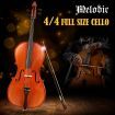 Melodic Full-size 4/4 Cello Outfit with Carrying Case 