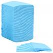 Pet Training Pads 100 pcs 45x33 cm Non Woven Fabric