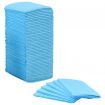 Pet Training Pads 100 pcs 60x45 cm Non Woven Fabric