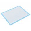 Pet Training Pads 100 pcs 60x45 cm Non Woven Fabric