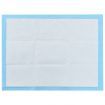 Pet Training Pads 200 pcs 60x45 cm Non Woven Fabric