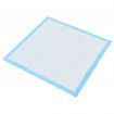 Pet Training Pads 100 pcs 60x60 cm Non Woven Fabric