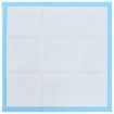 Pet Training Pads 100 pcs 60x60 cm Non Woven Fabric