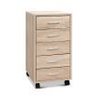 5 Drawer Filing Cabinet Storage Drawers Wood Study Office School File Cupboard