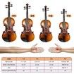 Melodic Full-size 4/4 Electric Violin with Amp 