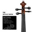 Melodic Full-size 4/4 Electric Violin with Amp 