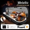 Melodic Full-size 4/4 Electric Violin with Amp 