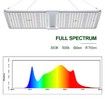 2000W Full Spectrum LED Plant Grow Light Samsung LM301B Growing Lamp