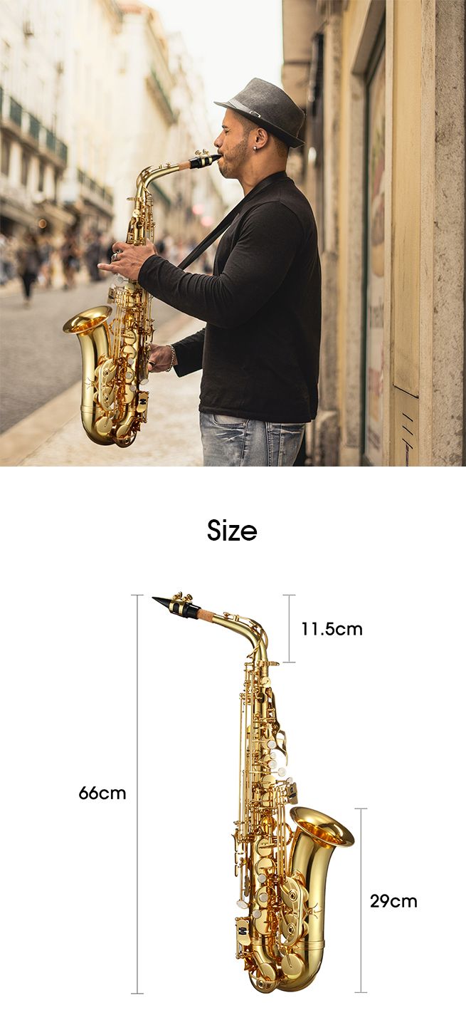Melodic Saxophone Sax Eb Be Alto E Flat Brass w/ Mouthpiece for Student