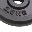 Weight Plates 8 pcs 20 kg Cast Iron