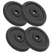 Weight Plates 4 pcs 20 kg Cast Iron