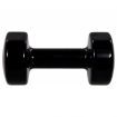 Dumbbell 2 pcs 10 kg Cast Iron Black