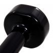 Dumbbell 2 pcs 10 kg Cast Iron Black