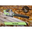 60V Cordless Brushless Blower Kit Lithium Ion Handheld