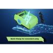 60V LITHIUM-ION Rechargeable Battery Charger Fast Charging