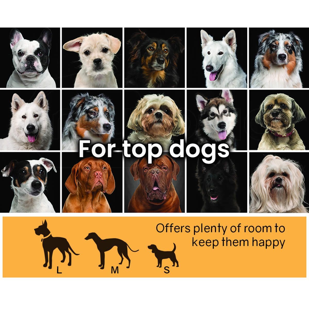 https://img.crazysales.com.au/products_pictures/2123/212311_1644647_F.jpg