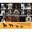 4x4m Dog Enclosure Kennel Large Chain Cage Pet Animal Fencing Run Outdoor Fenced