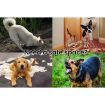 4x4m Dog Enclosure Kennel Large Chain Cage Pet Animal Fencing Run Outdoor Fenced