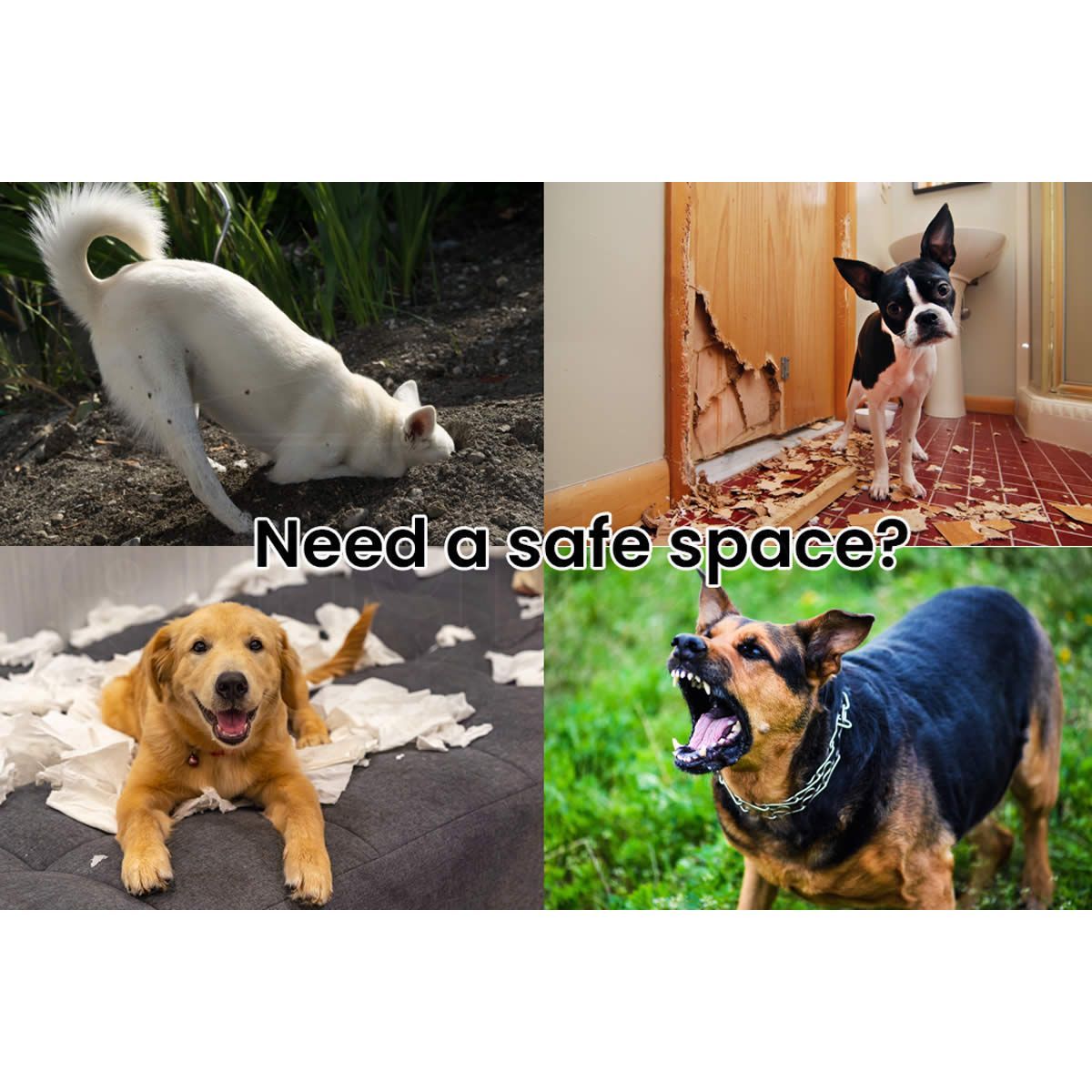 https://img.crazysales.com.au/products_pictures/2124/212489_1646385_F.jpg