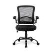 Ergonomic Mesh Office Chair Lumbar Support Adjustable Armrest Height Back Angle Black 