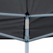 Folding Pop-up Partytent with Sidewalls 3x6 m Anthracite