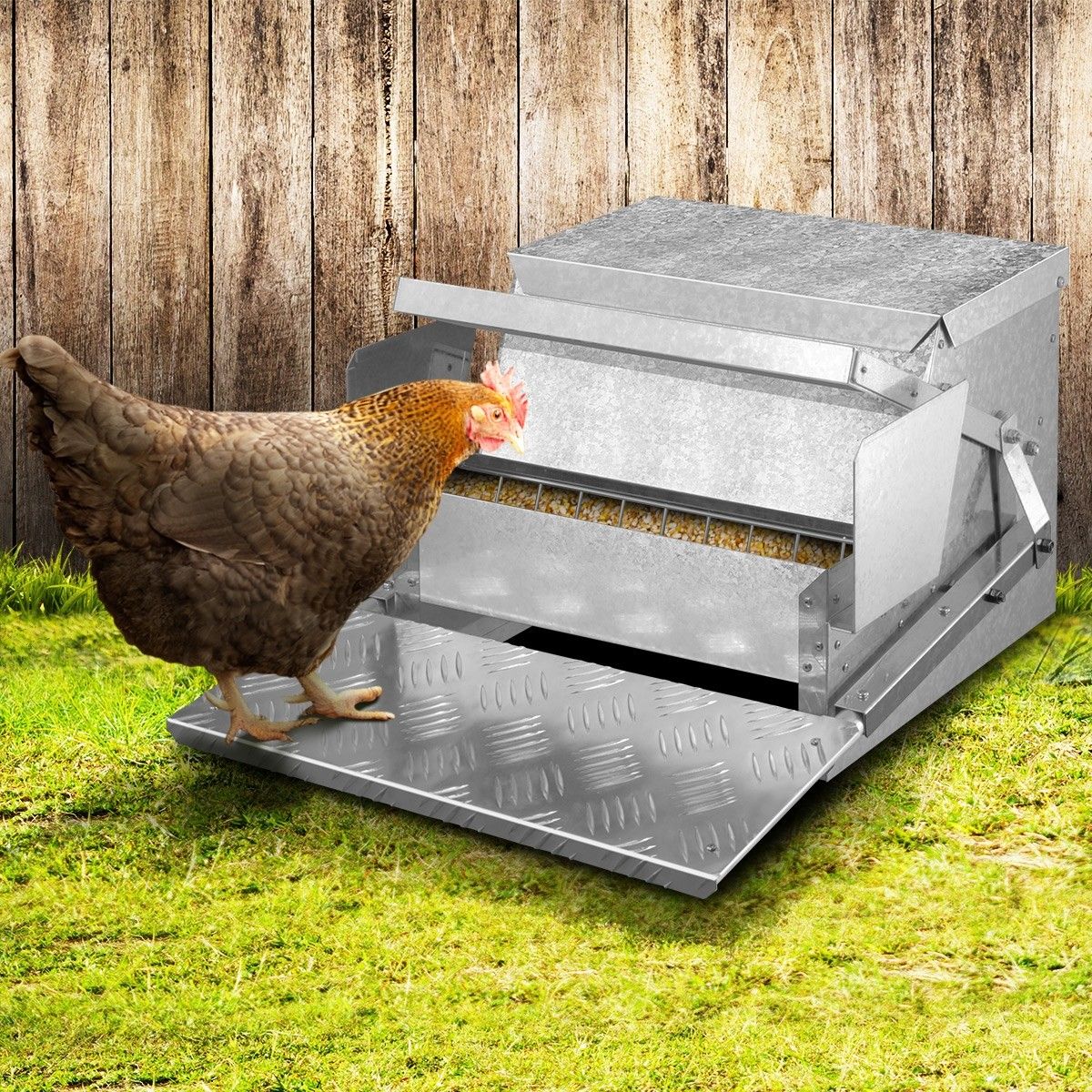 Auto Chicken Feeder Galvanized Steel Poultry Automatic Feeding Trough Spill Proof Tread Plate