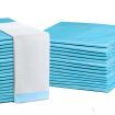 i.Pet Pet Training Pads 200pcs 60x60cm Puppy Dog Toilet Pee Indoor Super Absorbent Blue