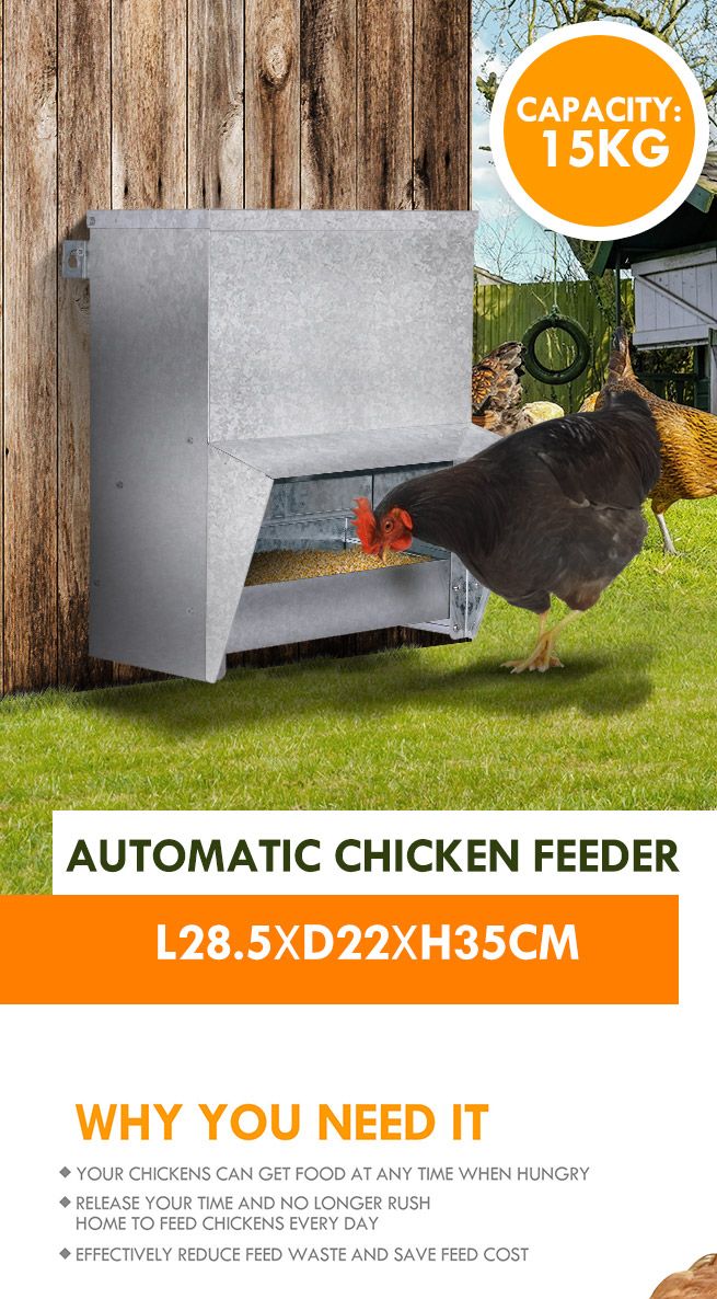 chicken feeder waterproof