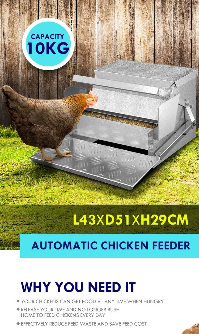 10KG Automatic Chicken Feeder Poultry Trough SpillProof Galvanised