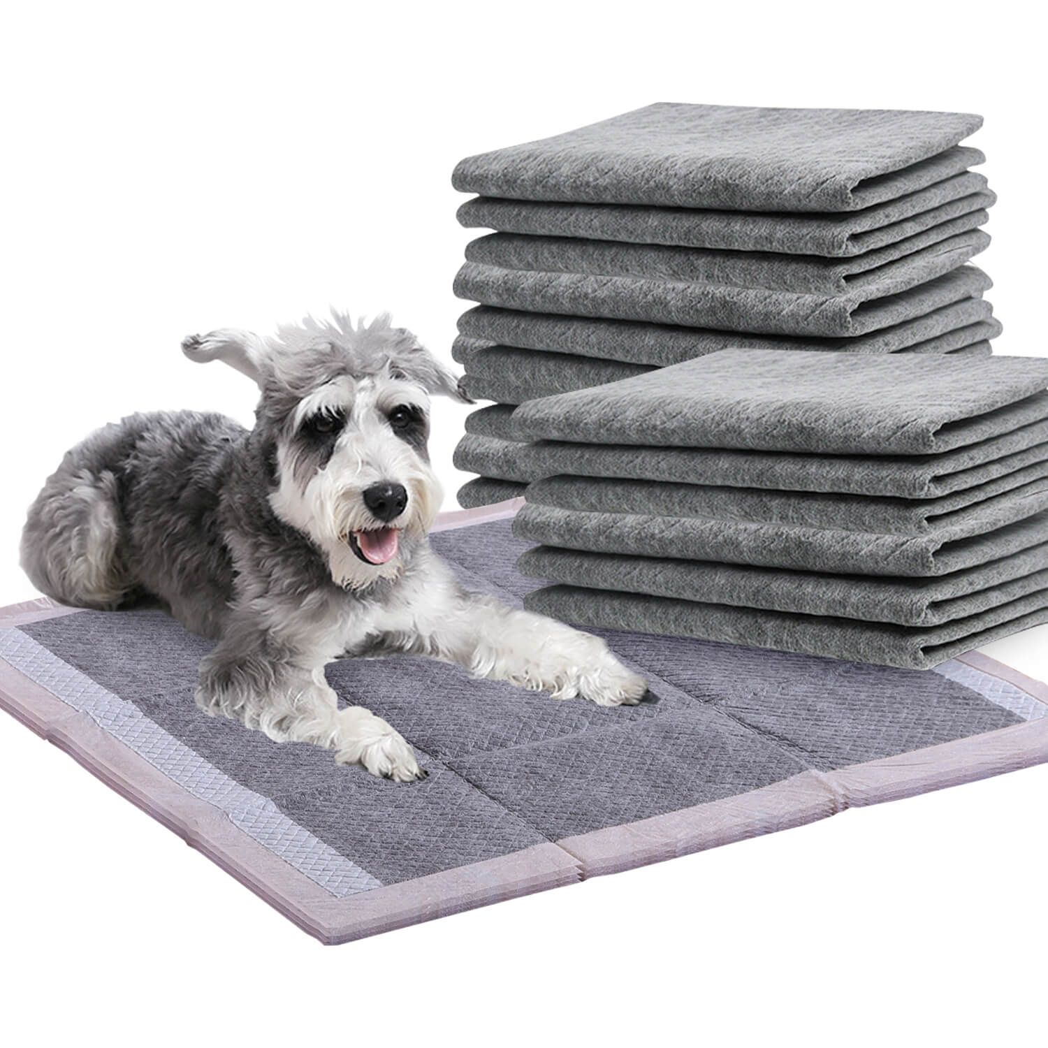 400 Pcs 60x60cm Charcoal Pet Puppy