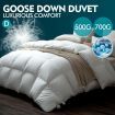 DreamZ 700GSM All Season Goose Down Feather Filling Duvet in Double Size